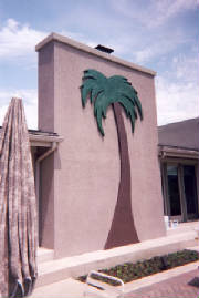 Portrait1/palmtree.jpg